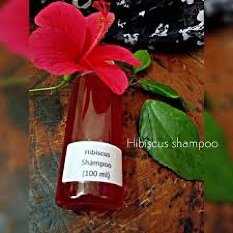 Hibiscus Shampoo - 100ml